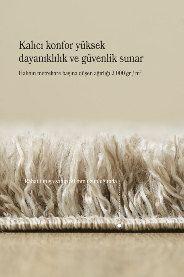 Modern Desenli Salon Halısı Peluş Halı Yıkanabilir Post Halı Bej Halı Kaymaz Taban Halı Oval Halı - Görsel 4