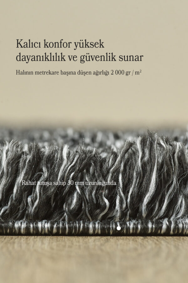 Modern Desenli Salon Halısı Peluş Halı Yıkanabilir Post Halı Antrasit Halı Kaymaz Taban Halı Oval - Görsel 5