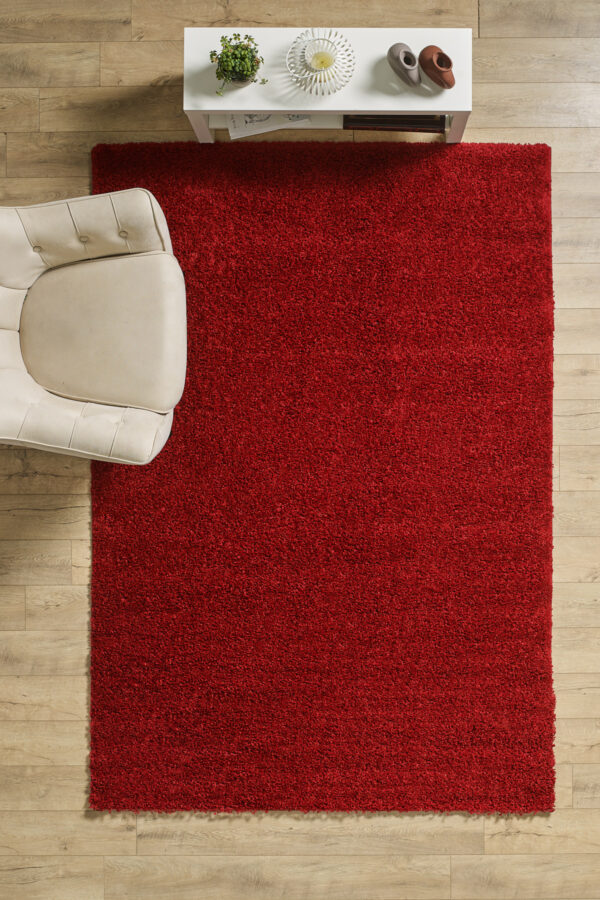 Modern Desenli Salon Halısı Kırmızı Halı Peluş Halı Yıkanabilir Post Halı Kaymaz Taban Halı