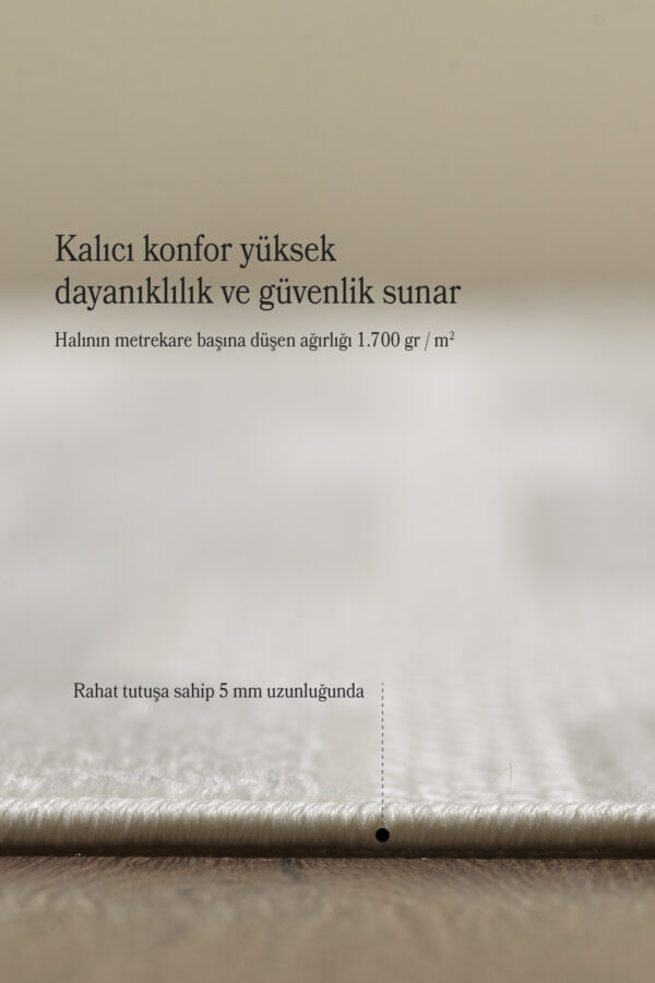 Modern Halı Yıkanabilir Halı Kaymaz Tabanlı Halı Şık Halı Salon Halısı Mutfak Halısı Sisal Halı - Görsel 5