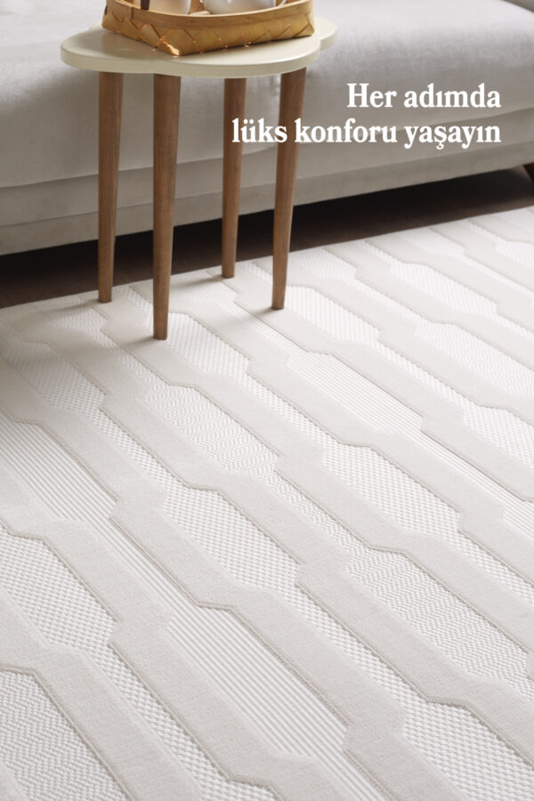Modern Halı Yıkanabilir Halı Kaymaz Tabanlı Halı Şık Halı Salon Halısı Mutfak Halısı Sisal Halı - Görsel 2