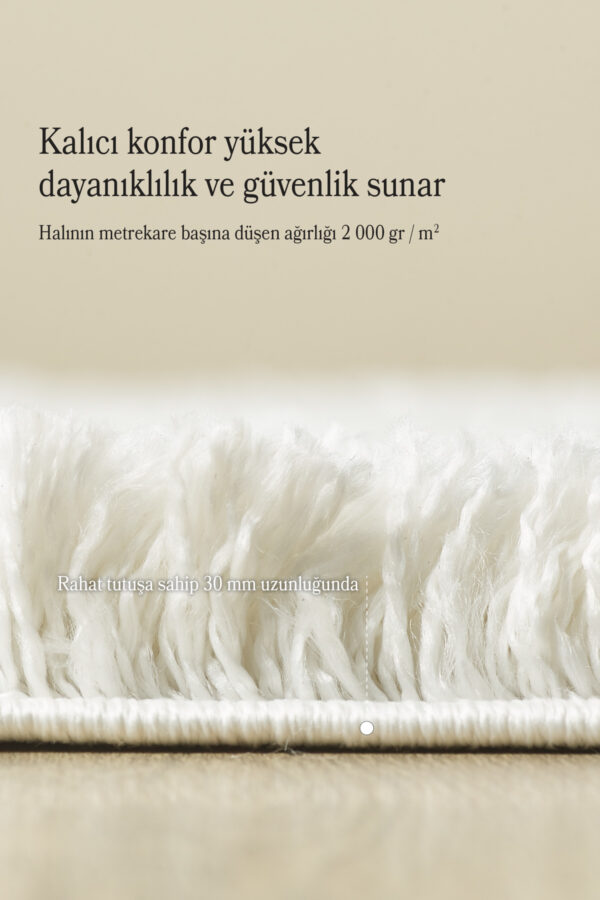 Modern Desenli Salon Halısı Peluş Halı Yıkanabilir Post Halı Beyaz Halı Kaymaz Taban Halı - Görsel 5