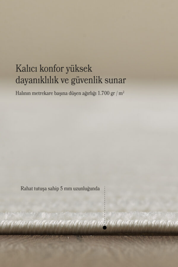 Modern Halı Yıkanabilir Halı Kaymaz Tabanlı Halı Dokuma Halı Salon Halısı Mutfak Halısı Sisal Yolluk - Görsel 5