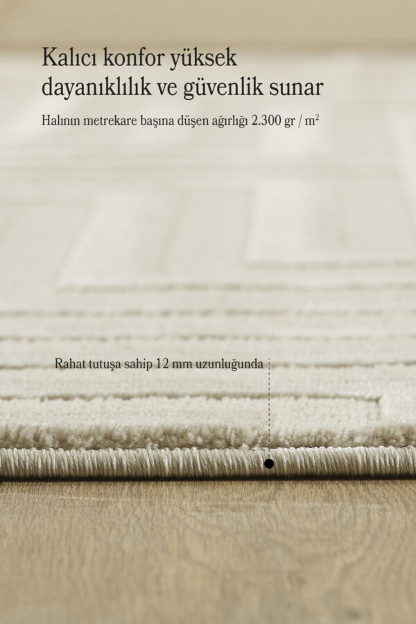 Modern Tasarım Salon Halısı Oturma Odası Halısı Bej Halı Yolluk Toz Vermez Kolay Temizlenebilir - Görsel 4